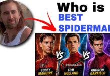 Nicolas Cage Just Ended the Debate: This is the Best Spider-Man